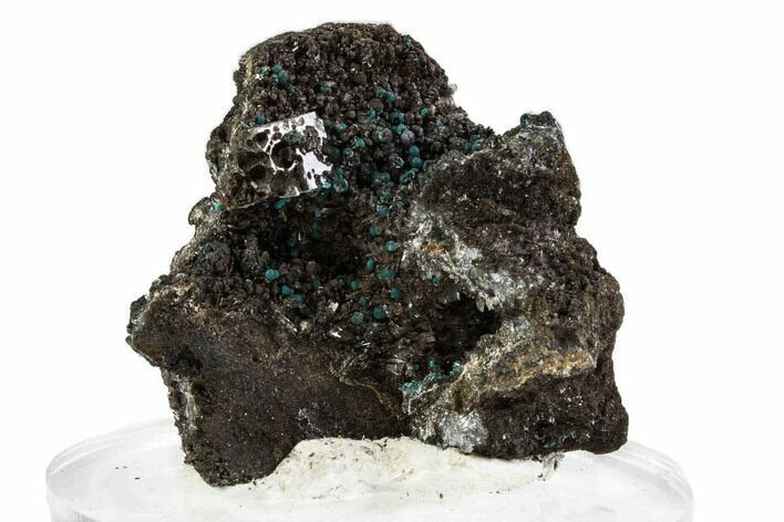 Teal Blue Rosasite and Goethite with Hemimorphite - Mexico #372783